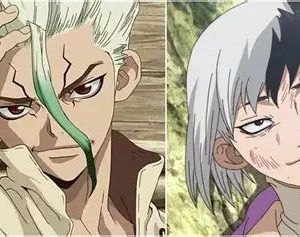 Dr Stone